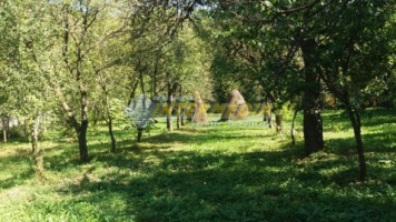 casa-de-vacanta-in-galda-renovata-cu-2700-mp-teren-1